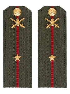 Погоны МО Сухопутные войска зеленые звание Младший лейтенант Картон