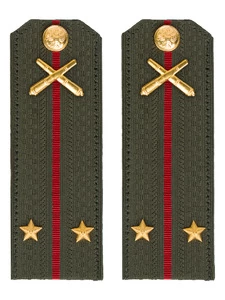 Погоны МО РВиА зеленые звание Лейтенант Картон