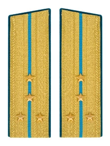 Погоны ВДВ, ВКС, ВВС парадные золотые с фурнитурой Скос на Китель звание Капитан