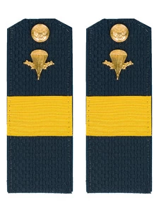 Погоны ВДВ с фурнитурой синие с желтым галуном Ст. Сержант Пластиковые