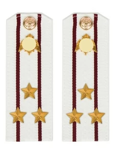 Погоны Росгвардии ФСВНГ на рубашку белые 14х5 см Картон звание Полковник