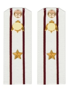 Погоны Росгвардии ФСВНГ на рубашку белые 14х5 см пластик звание Майор