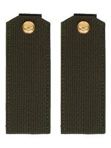 Погоны МО общевойсковые на китель зеленые звание Рядовой ПЛАСТИК