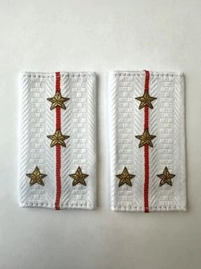 Фальш погоны Полиции нового образца БЕЛЫЕ звание Капитан 9х5 см