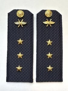 Погоны ВКС ВВС с фурнитурой темно-синие Старший Прапорщик КАРТОН