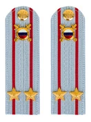 Погоны МВД внутренняя служба на рубашку голубые картон Подполковник 12см