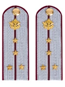 Погоны ФСИН на рубашку картон звание Капитан 12 см