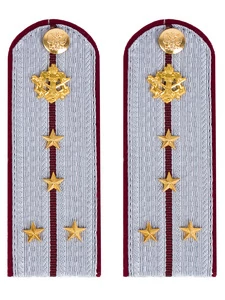 Погоны ФСИН на рубашку картон звание Капитан 12 см