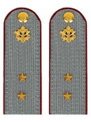 Погоны ФСИН серые на рубашку Картон (в сборе) звание Прапорщик 12 см