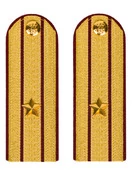 Погоны ФСИН парадные Майор картон цвет золотой 13 см