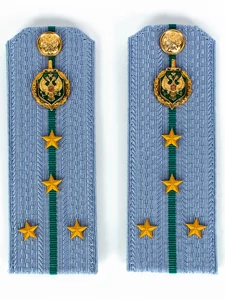 Погоны Пограничной службы ПС ФСБ в сборе картон на рубашку звание Капитан 14х5см