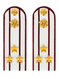 Погоны ФСИН белые картон (в сборе) укомплектованные с фурнитурой звание полковник 14х5 см