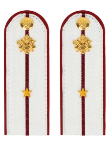 Погоны ФСИН на рубашку ПЛАСТИК цвет белый, звание Младший лейтенант 14х5,5см