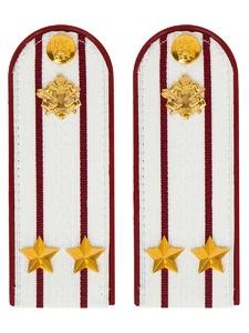 Погоны ФСИН на рубашку ПЛАСТИК цвет Белый звание Подполковник 14х5 см