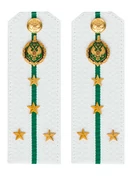 Погоны Пограничной службы ПС ФСБ в сборе КАРТОН белые звание Капитан 14х5см