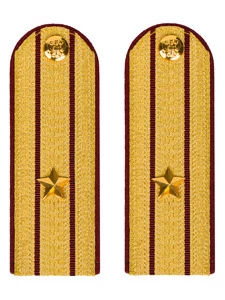 Погоны ФСИН парадные Майор картон цвет золотой 13 см