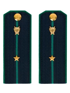 Погоны Прокуратуры темно-синие КАРТОН 13 см Звание Младший лейтенант