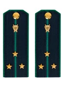 Погоны Прокуратуры темно-синие КАРТОН 13см Звание Старший Лейтенант