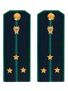 Погоны Прокуратуры темно-синие КАРТОН 13см Звание Старший Лейтенант