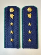Погоны Прокуратуры темно-синие КАРТОН 13,5 см Звание Старший Прапорщик