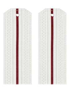 Погоны Росгвардии ФСВНГ белые на рубашку 1-просвет Картон 14х5см