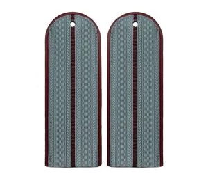 ПОГОНЫ ФСИН повседневные на рубашку,1 просвет галун, картон 14х5 см