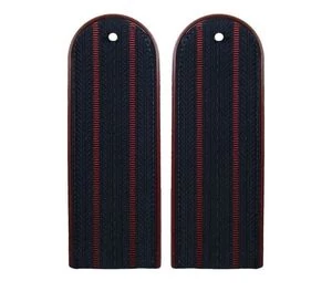 Погоны ФСИН повседневные на куртку, два просвета галун, картон 14х5 см