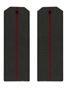 Погоны Росгвардии ФСВНГ повседневные 14х5см пластик