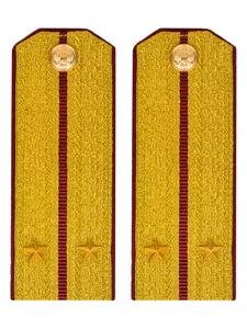 Погоны Росгвардии ФСВНГ парадные золотые 14х5,5 см картон звание Лейтенант