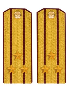 Погоны Росгвардии ФСВНГ парадные золотые 14х5,5 см картон звание Полковник