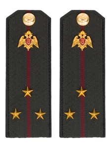 Погоны Росгвардии ФСВНГ на куртку 14х5 см Картон звание Старший Лейтенант