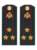 Погоны Росгвардии ФСВНГ на куртку 14х5 см Картон звание Полковник