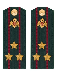 Погоны Росгвардии ФСВНГ на куртку 14х5 см Картон звание Полковник