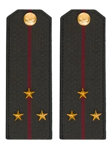 Погоны Росгвардии ФСВНГ на китель 14х5 см Картон звание Старший Лейтенант