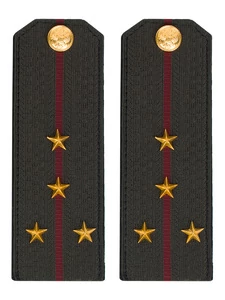 Погоны Росгвардии ФСВНГ на китель 14х5 см Картон звание Капитан