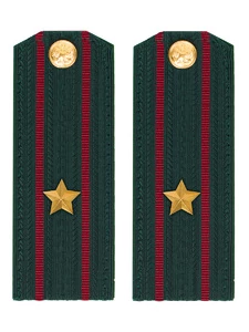 Погоны Росгвардии ФСВНГ на китель 14х5 см Картон звание Майор