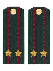 Погоны Росгвардии ФСВНГ на китель 14х5 см Картон звание Подполковник