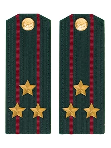 Погоны Росгвардии ФСВНГ на китель 14х5 см Картон звание Полковник