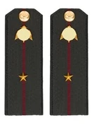 Погоны Росгвардии ФСВНГ на куртку 14х5 см ПЛАСТИК звание Младший Лейтенант