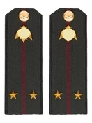 Погоны Росгвардии ФСВНГ на куртку 14х5 см ПЛАСТИК звание Лейтенант