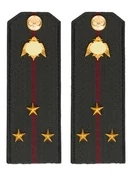 Погоны Росгвардии ФСВНГ на куртку 14х5 см ПЛАСТИК звание Старший Лейтенант