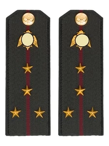 Погоны Росгвардии ФСВНГ на куртку 14х5 см ПЛАСТИК звание Капитан