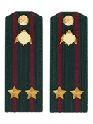 Погоны Росгвардии ФСВНГ на куртку 14х5 см ПЛАСТИК звание Подполковник