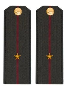 Погоны Росгвардии ФСВНГ на китель 14х5 см ПЛАСТИК звание Младший Лейтенант