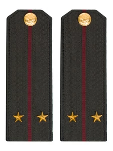 Погоны Росгвардии ФСВНГ на китель 14х5 см ПЛАСТИК звание Лейтенант