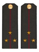 Погоны Росгвардии ФСВНГ на китель 14х5 см ПЛАСТИК звание Старший Лейтенант