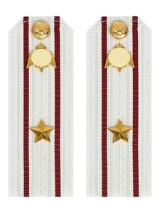 Погоны Росгвардии ФСВНГ на рубашку белые 14х5 см Картон звание Майор