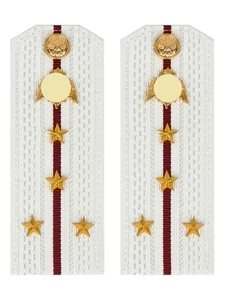 Погоны Росгвардии ФСВНГ на рубашку белые 14х5 см ПЛАСТИК звание Капитан