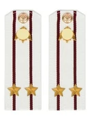 Погоны Росгвардии ФСВНГ на рубашку белые 14х5 см ПЛАСТИК звание Подполковник