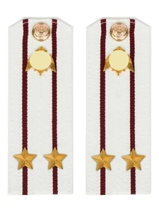 Погоны Росгвардии ФСВНГ на рубашку белые 14х5 см ПЛАСТИК звание Подполковник